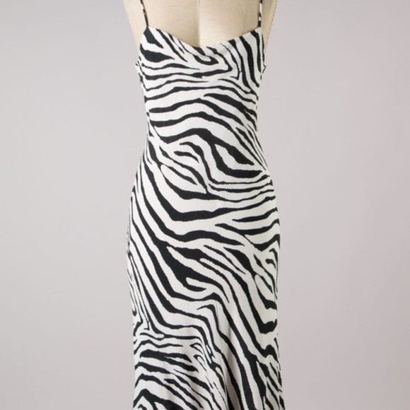 Dresses & Skirts - Zebra Print Slip Dress